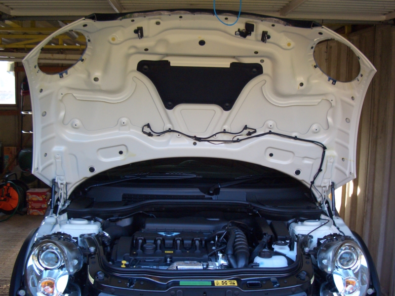 07-04-28_08 - Pepper White R56 MINI at Home.JPG